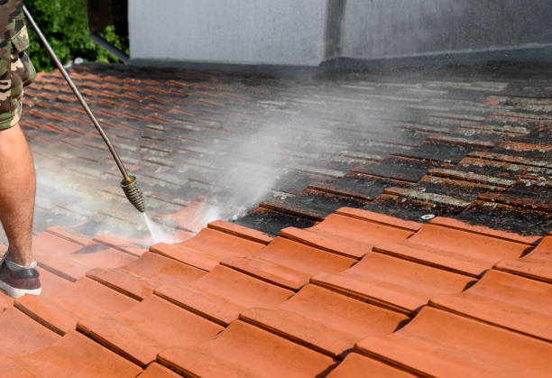 Best Pressure Washing Services for Businesses  in Holly Lake Ranch, TX